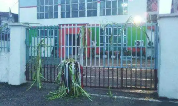 Photo:- APC Secretariat In Ondo Turns To Shrine, Fetish Objects Everywhere